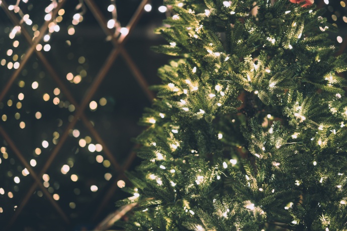 Christmas tree detail with lights