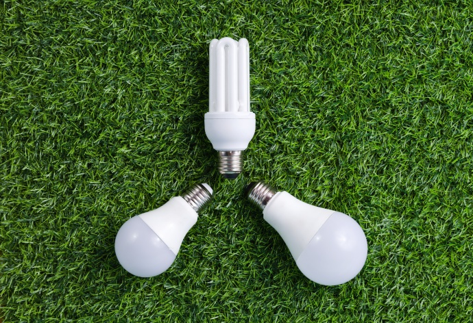 LED lights on green lawn