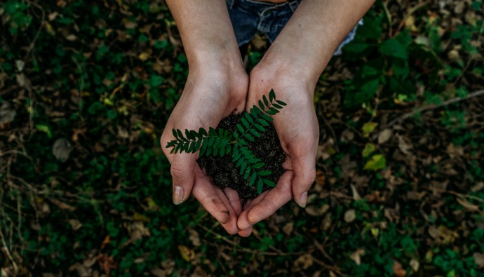 Hands together supporting the root of a plant