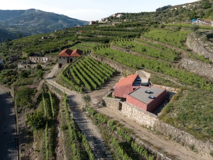 Casa no Douro com vinha Casa Jerónimo